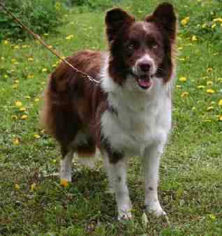 Eyes of the World Daydream, kuva Paul Schevenels