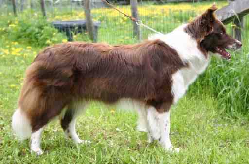 Eyes of the World Daydream, kuva Paul Schevenels