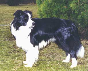 Fin Mva Krislyn McKawley