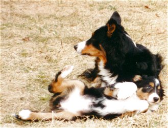 Minka ja Lulu, kuva Ralph D