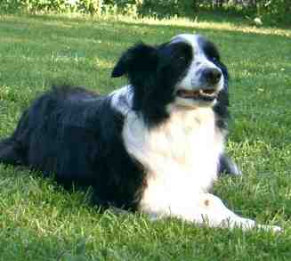 Festivo Serita, kuva Mira Simonen