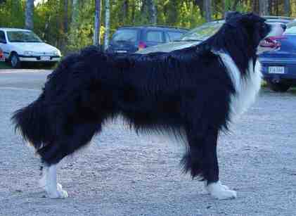 Fin Ava Festivo Uranos, kuva N.Futtari